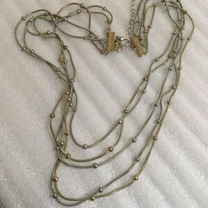 Charming Charlie Silver and Gold Necklace